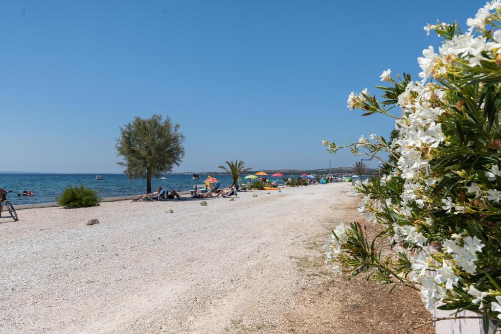 Príroda v okolí apartmánu