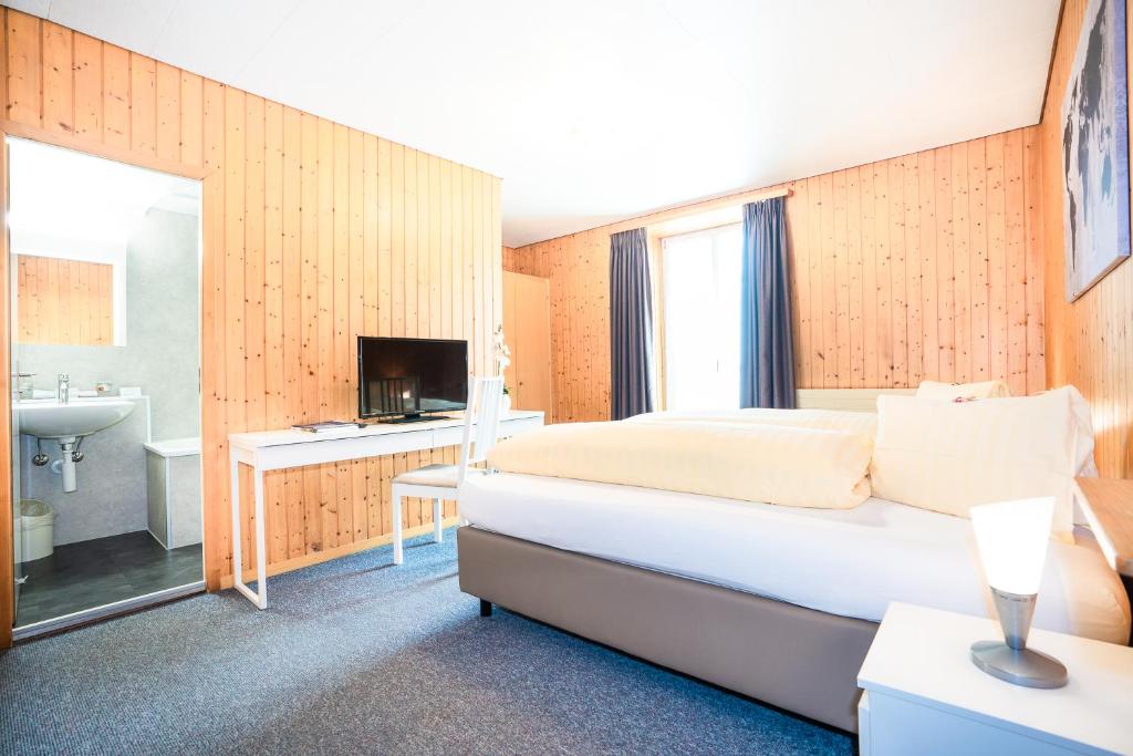 TV a/nebo společenská místnost v ubytování Hotel Landhaus Adler