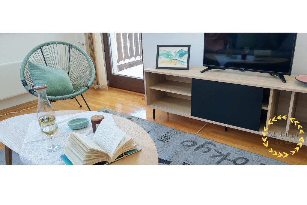TV a/nebo společenská místnost v ubytování Vila Vela Goc