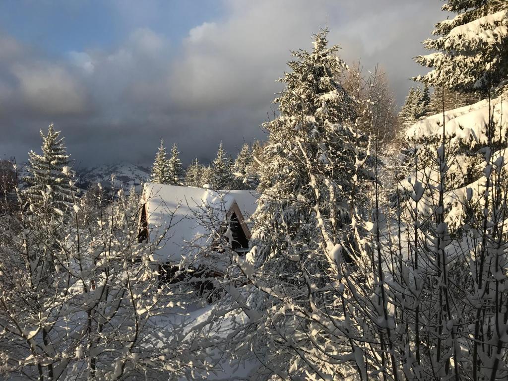 le chalet pointu de capucine v zimě
