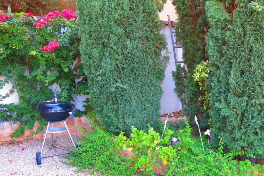 Vonkajšia záhrada v ubytovaní Apartamento gran terraza privada y vistas al mar