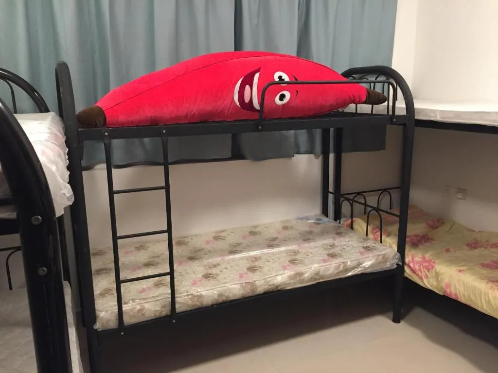 Bed in dormitory, Alantos, United Arab Emirates