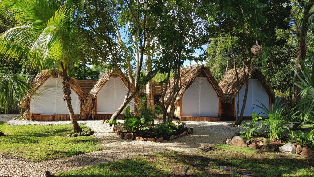 een paar tenten in een tuin met bomen bij El Búho Glamping Bacalar in Bacalar