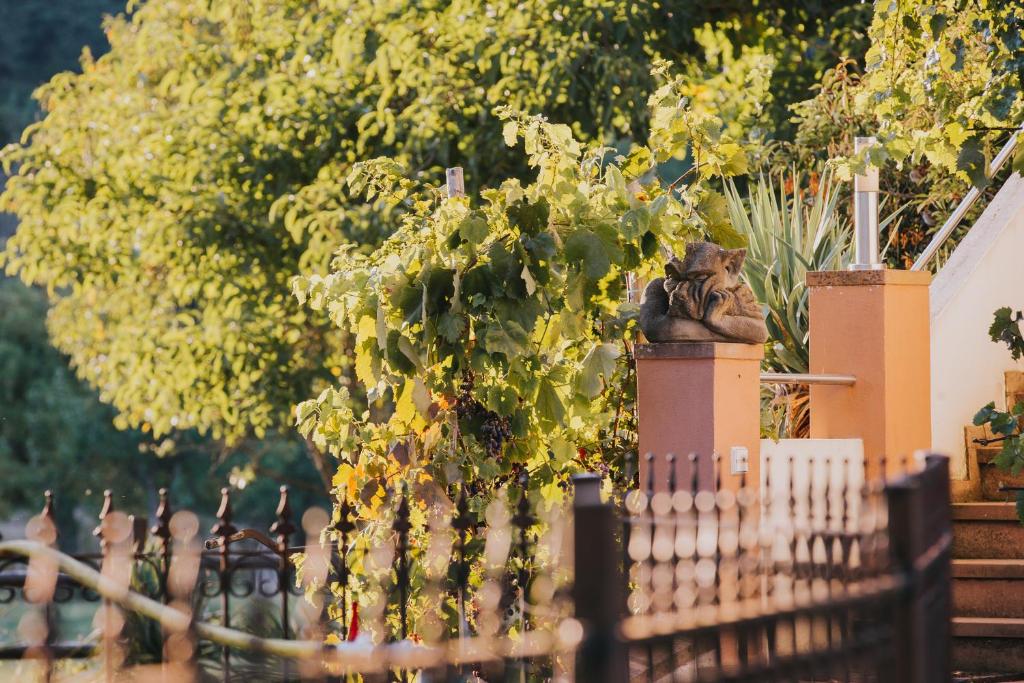 Zahrada ubytování Hotel und Weingut Karlsmühle