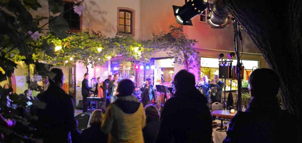 Hosté ubytování Hotel und Weingut Karlsmühle