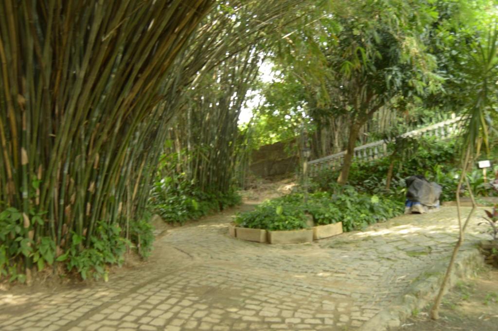  Rio Natureza apart 117