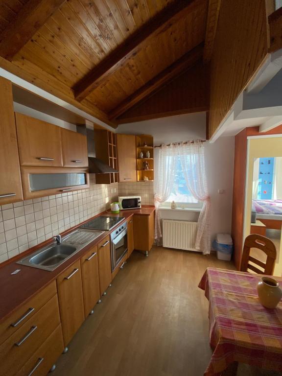 Kuchyň nebo kuchyňský kout v ubytování Penzion SLUNCE