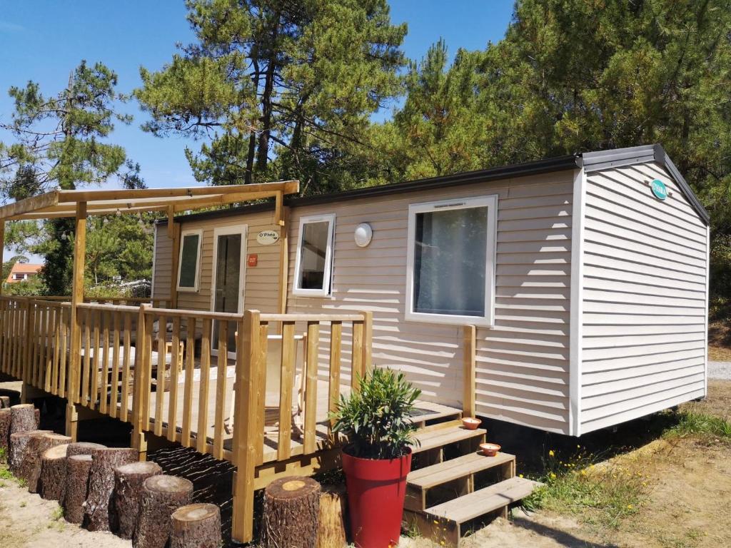 Camping La Dune Blanche - La pinède d'Opale