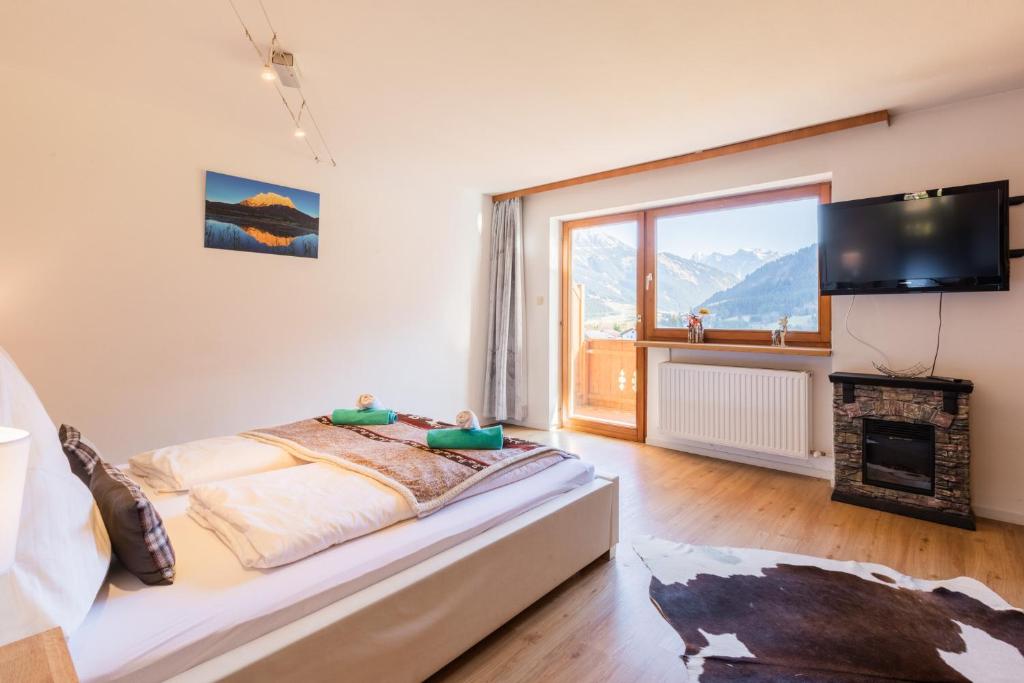 TV a/nebo společenská místnost v ubytování Alpin Resort Austria