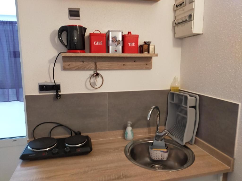 eine Küchentheke mit einer Spüle und einer Mikrowelle in der Unterkunft STUDIO ST GREGOIRE Au Pied des Vosges et Vignoble ! in Munster