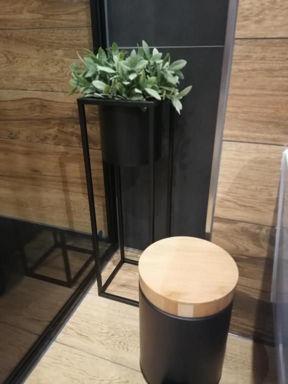 Fotografia z galérie ubytovania Apartament Jeleń v destinácii Złotów