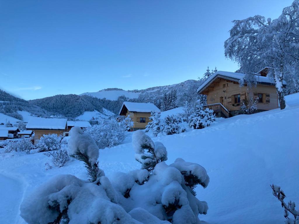 Chalets Savoie