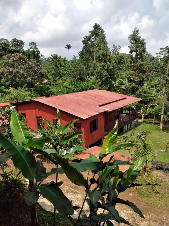 uma casa vermelha com um telhado vermelho numa floresta em Casa modelo Colonial - Guest House Quinta Natural em Graça