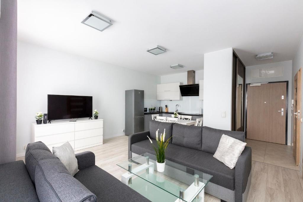 salon z kanapą i telewizorem w obiekcie Apartament 5k Szczecin w Szczecinie