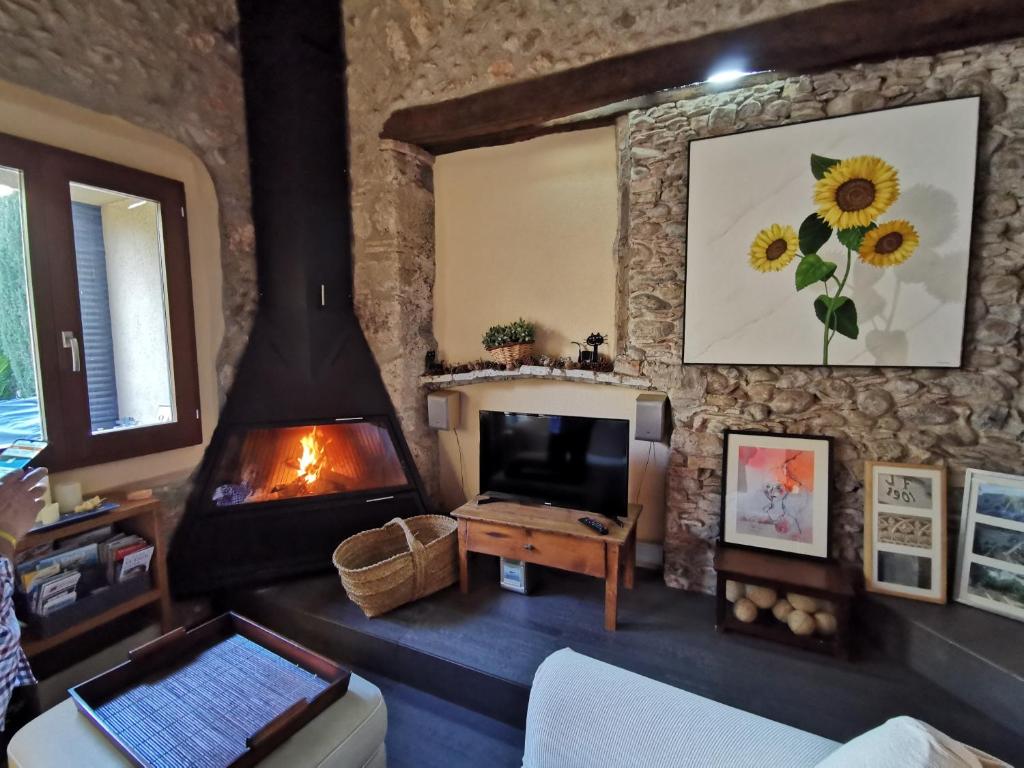 salon z kamienną ścianą i kominkiem w obiekcie Niu w mieście Saldet