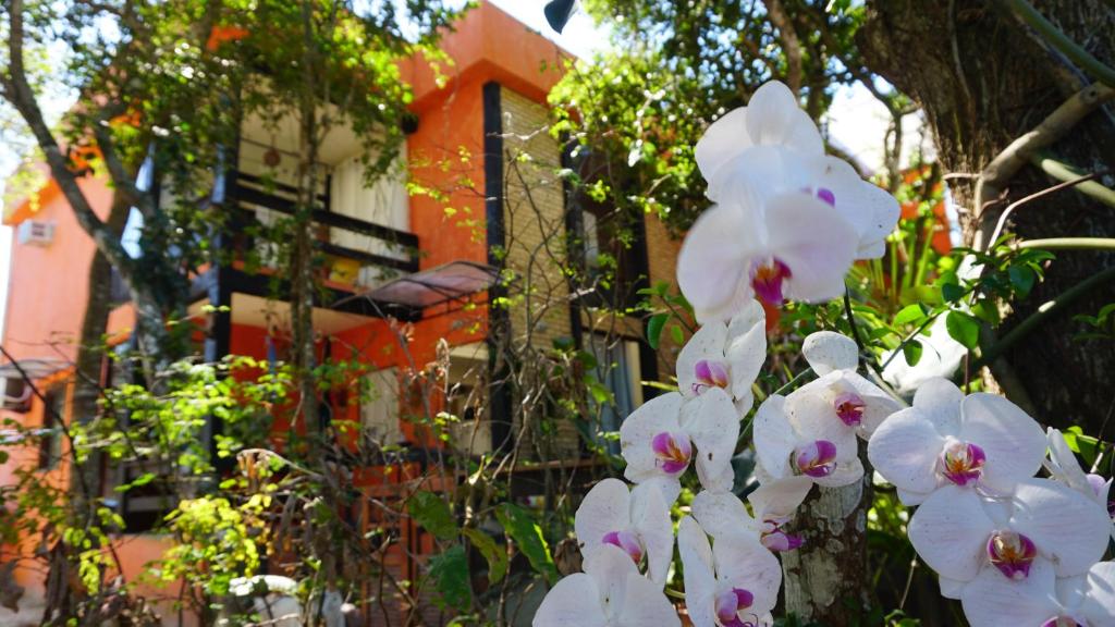 eine Gruppe weißer Blumen vor einem Haus in der Unterkunft Casa Di Gaya in Cabo Frio