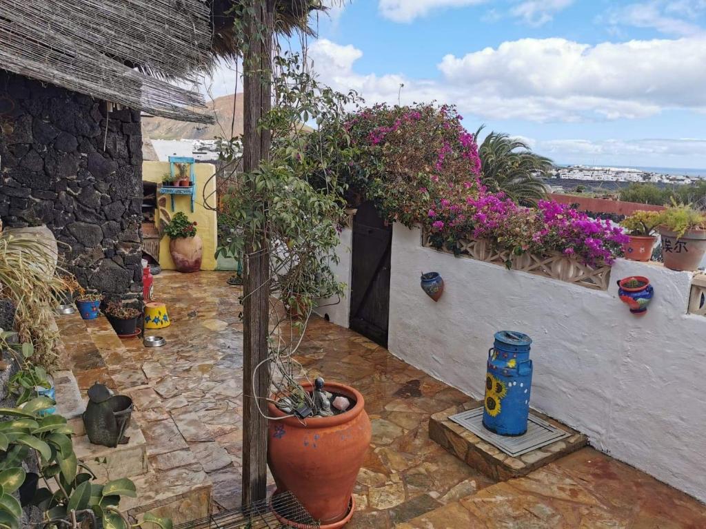 einen Innenhof mit Topfpflanzen auf einem Gebäude in der Unterkunft Casa De Gato Rustic Finca in Tahiche
