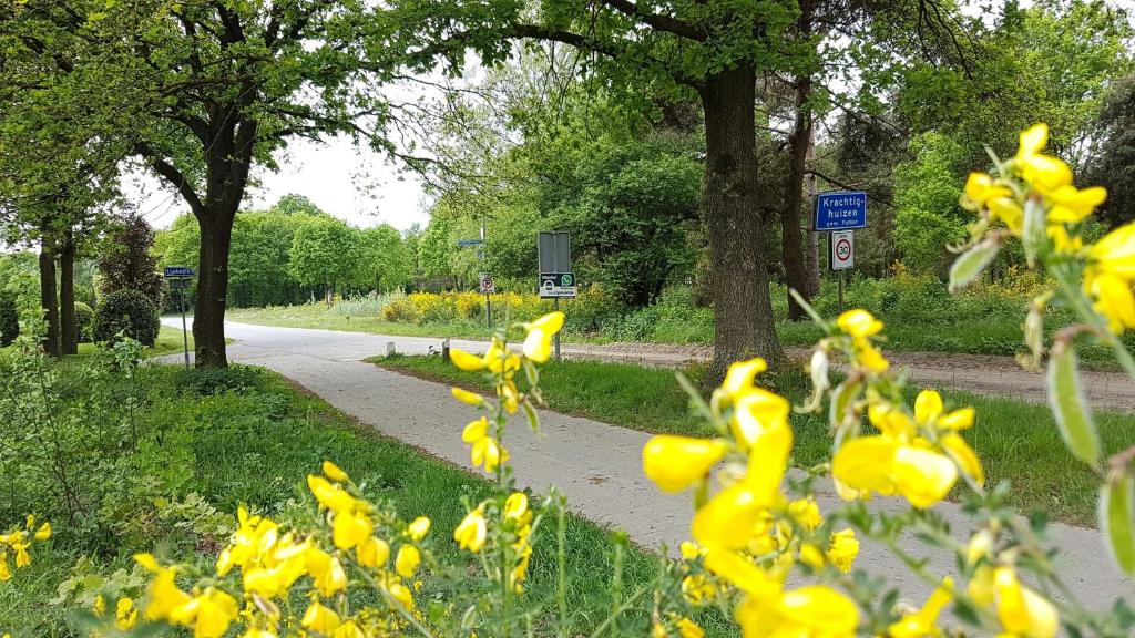 Zahrada ubytování Chalet Op De Veluwe # Linde