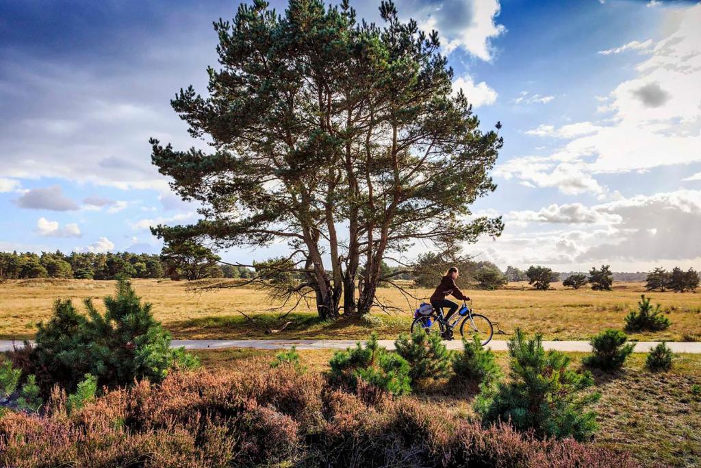 Hosté ubytování Chalet Op De Veluwe # Linde