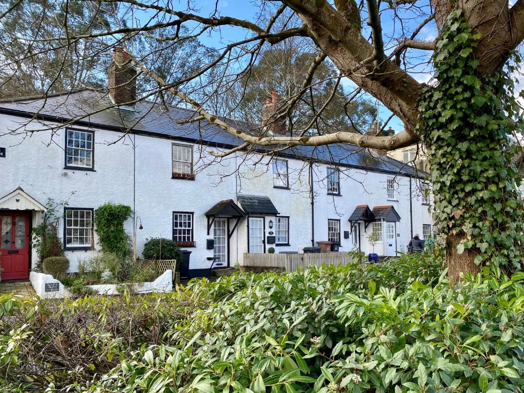 a white house with a red door and a tree at The Nook Devon Square in Kingsbridge