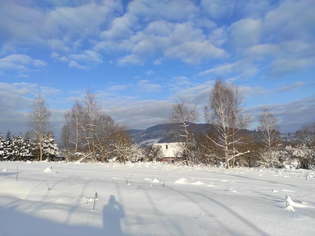 Apartament Katarina 2 v zime
