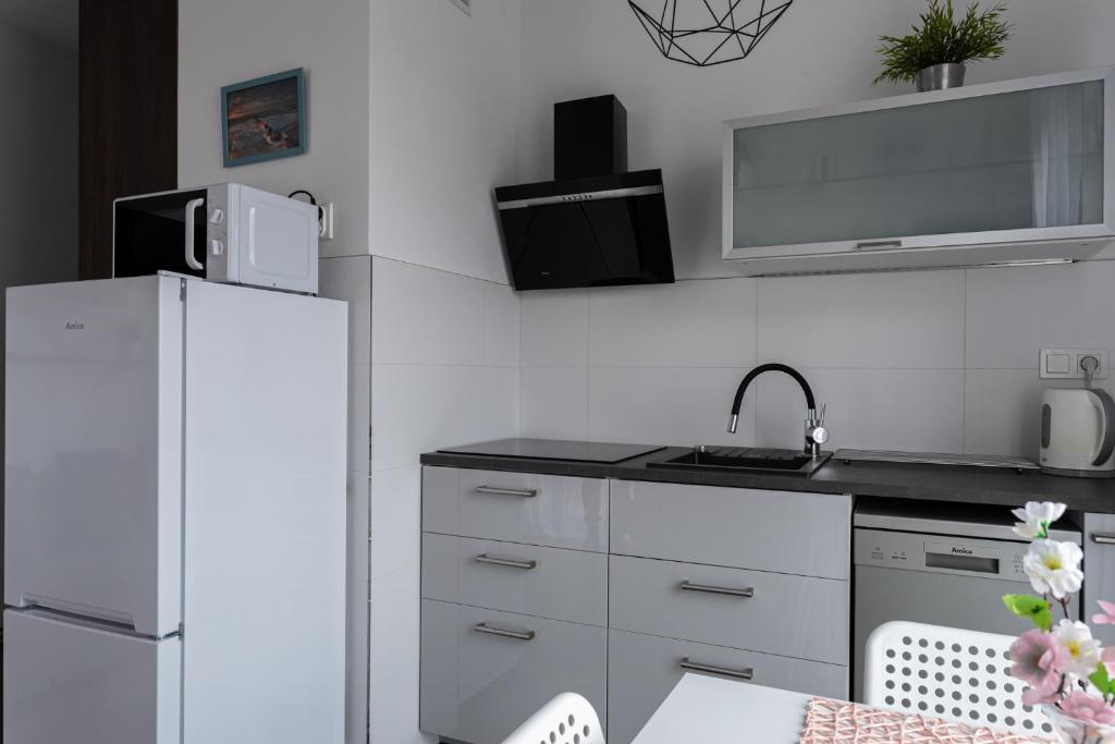 Kuchyňa alebo kuchynka v ubytovaní APARTAMENT Piątka