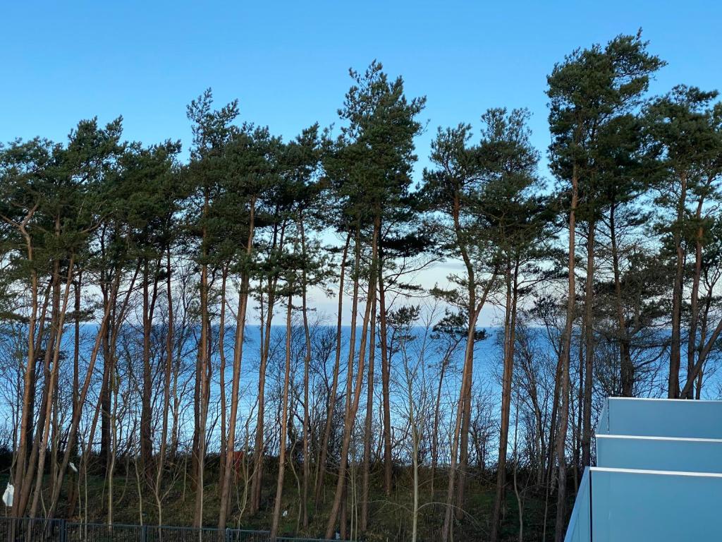 Příroda nedaleko apartmánu