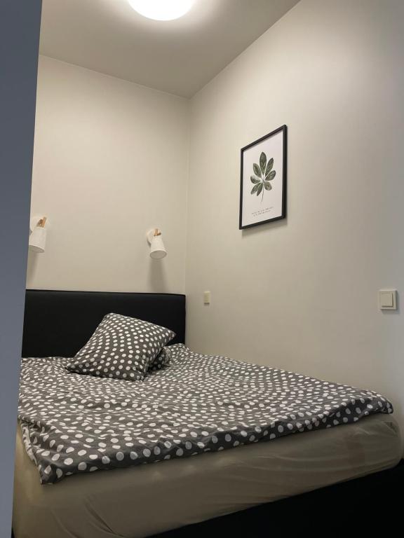 a bed with a pillow and a picture on the wall at Sweet home30 in Vilnius