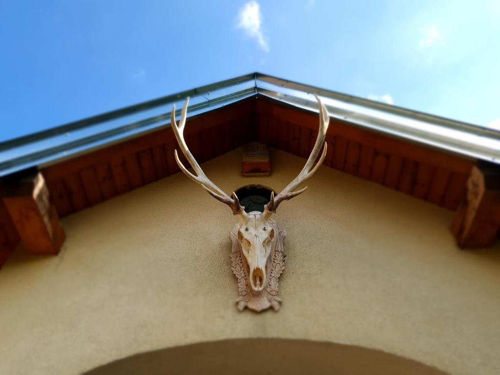Zdjęcie z galerii obiektu Pension und Landhaus Steirerengel - Ferien & Jagd w mieście Lócs