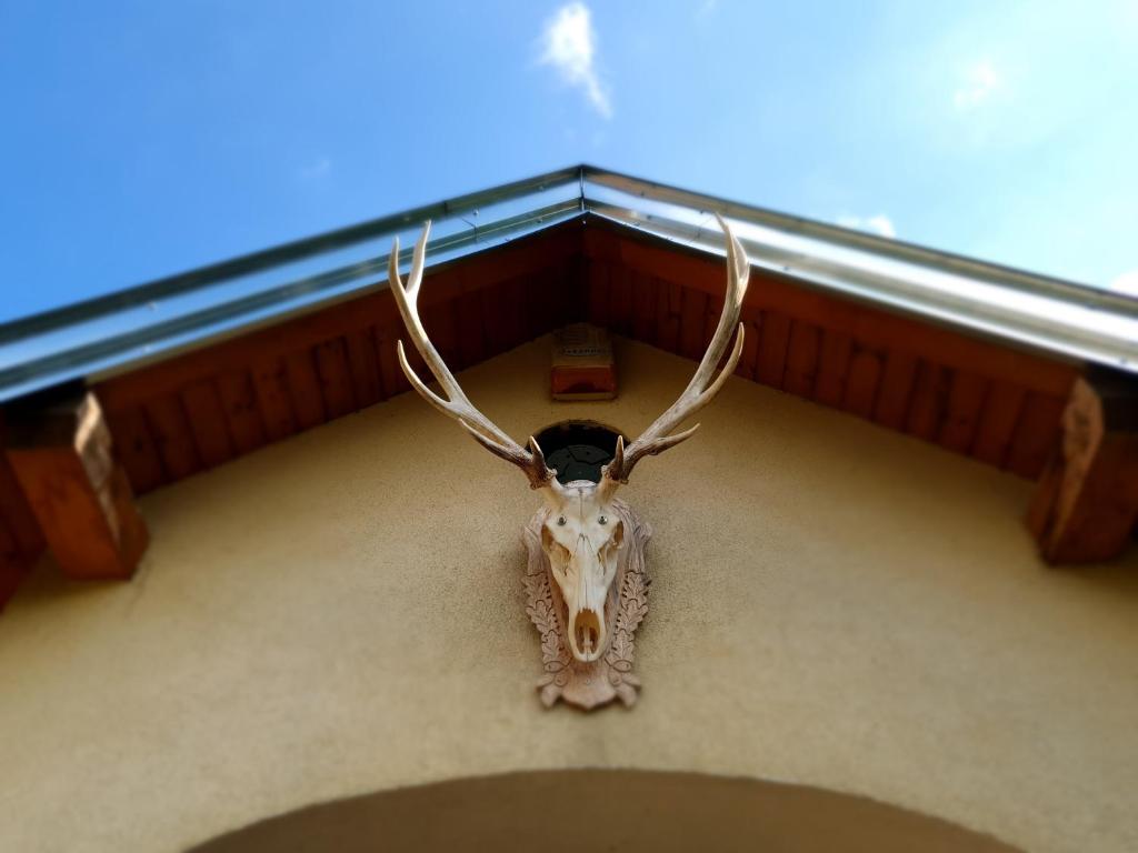 Gallery image of Landhaus Steirerengel - Ferien &amp; Jagd in Lócs