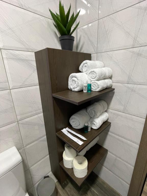 Koupelna v ubytování Apartmani Jović