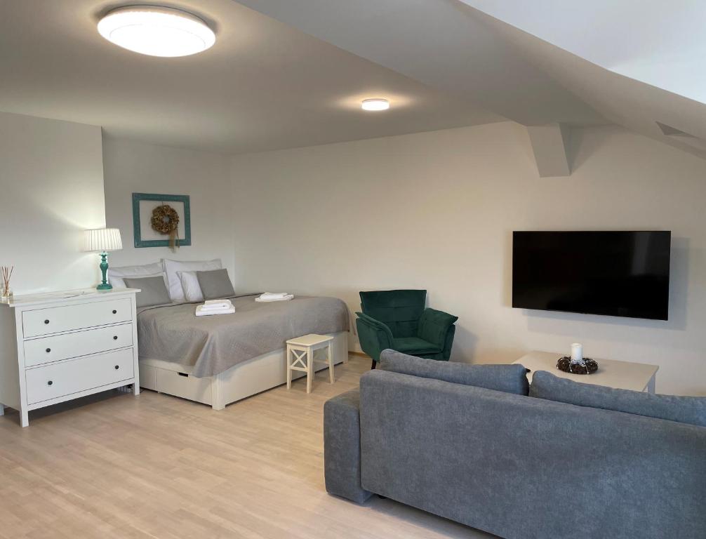 a bedroom with a bed and a couch and a tv at Pálava House Mikulov in Mikulov