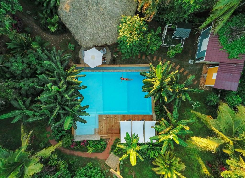 Kolam renang di atau dekat dengan MANURII Garden