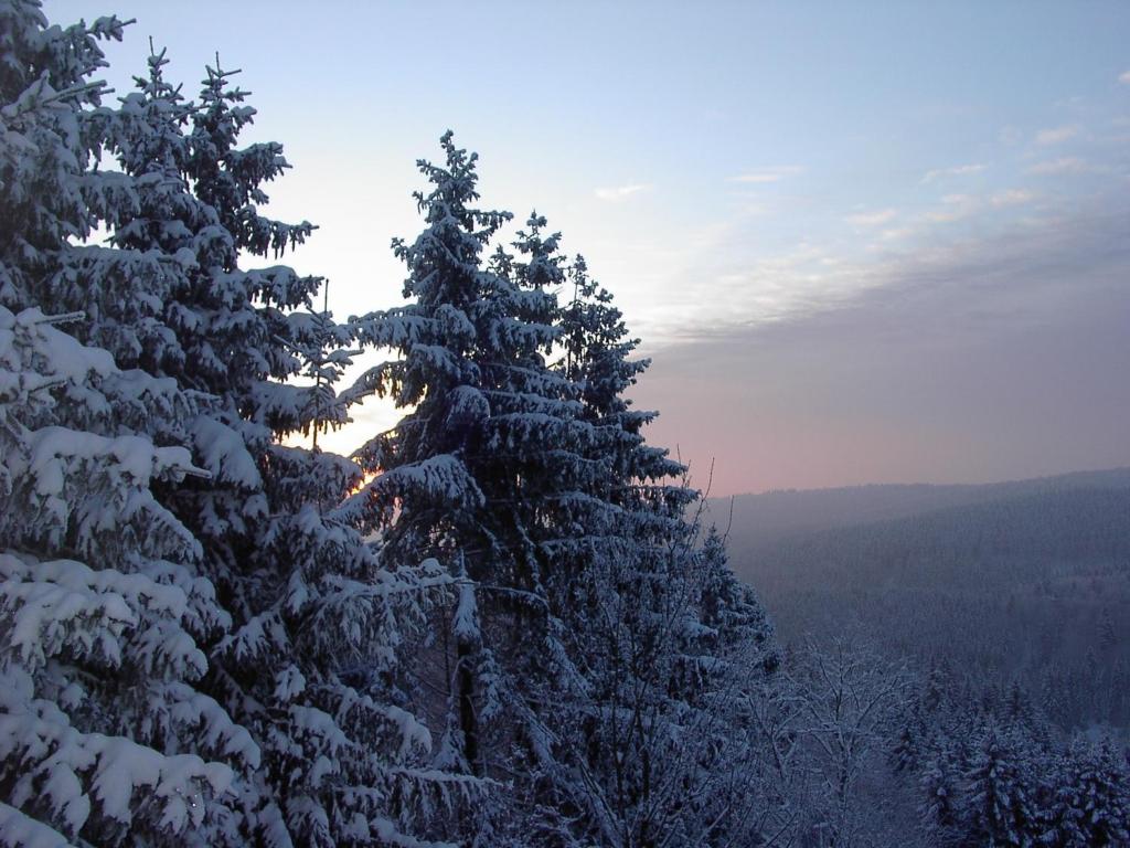 Landhotel Fernsicht - 5