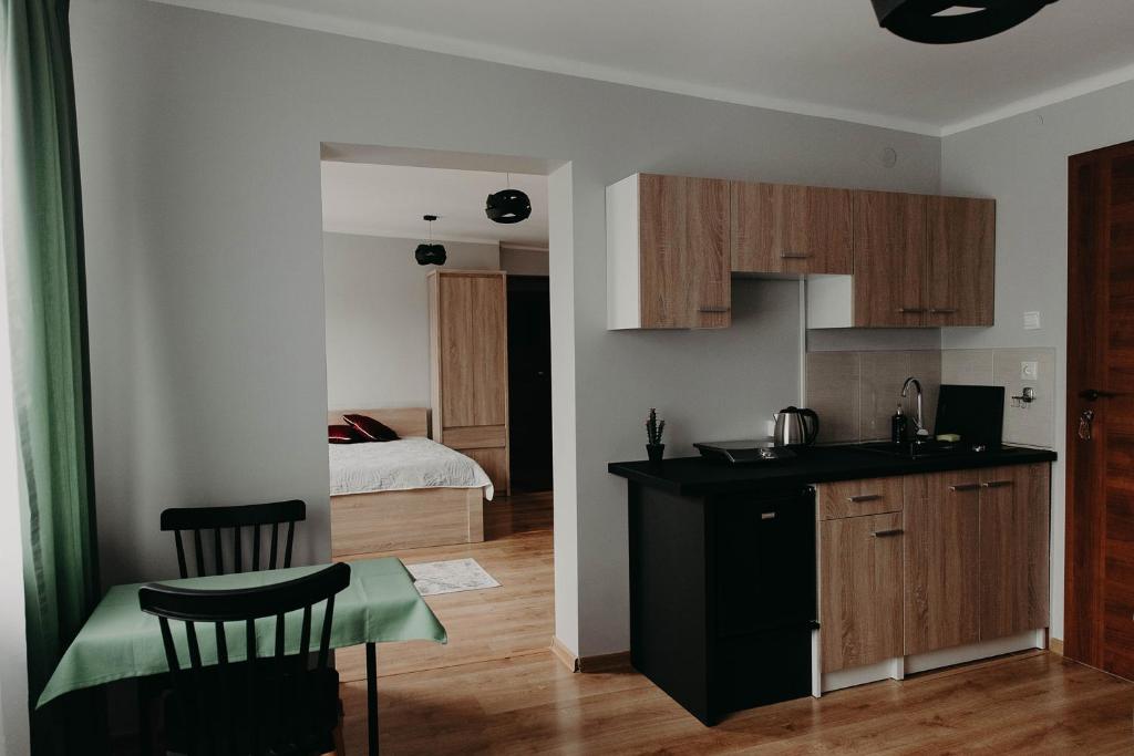 Apartamenty „Nad Popradem” - Apartment With Mountain View