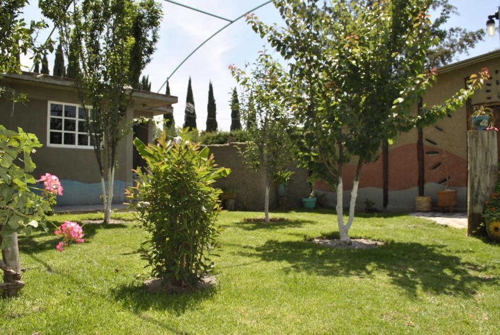 un jardín con árboles y arbustos en un patio en Temazcal Casa de Barro, en San Juan Teotihuacán