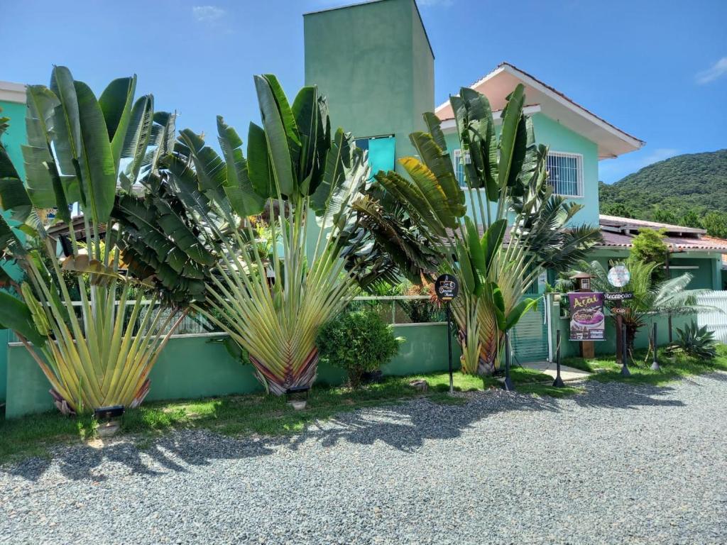 a bunch of plants in front of a house at Pousada Ares do Sul in Penha