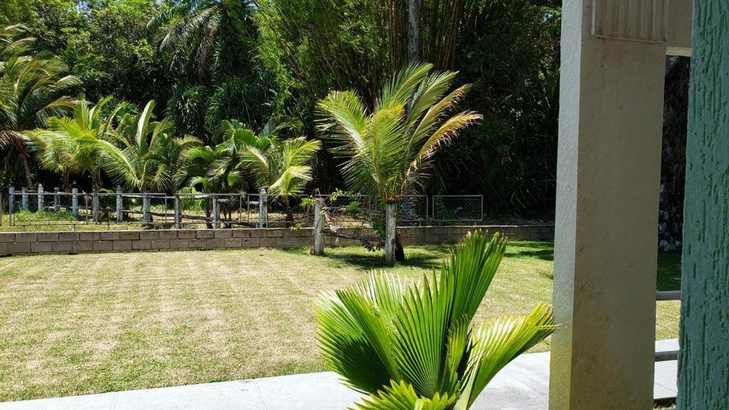 Apartamento no Taperapuan  Apartamento no Taperapuan