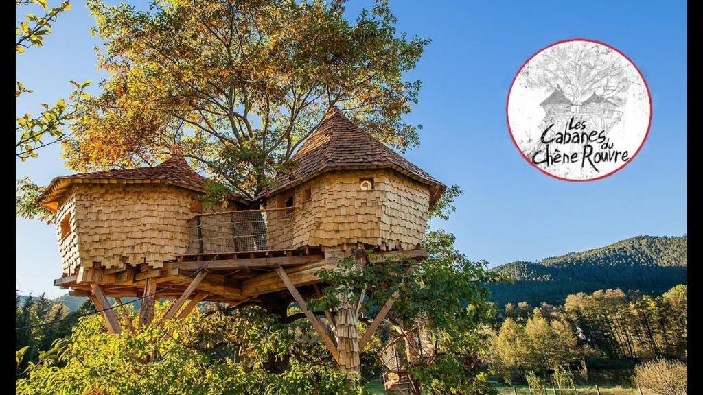 une cabane dans les arbres au sommet d'un arbre dans l'établissement Gaïa - Les Cabanes du Chêne Rouvre, à Saint-Dié-des-Vosges