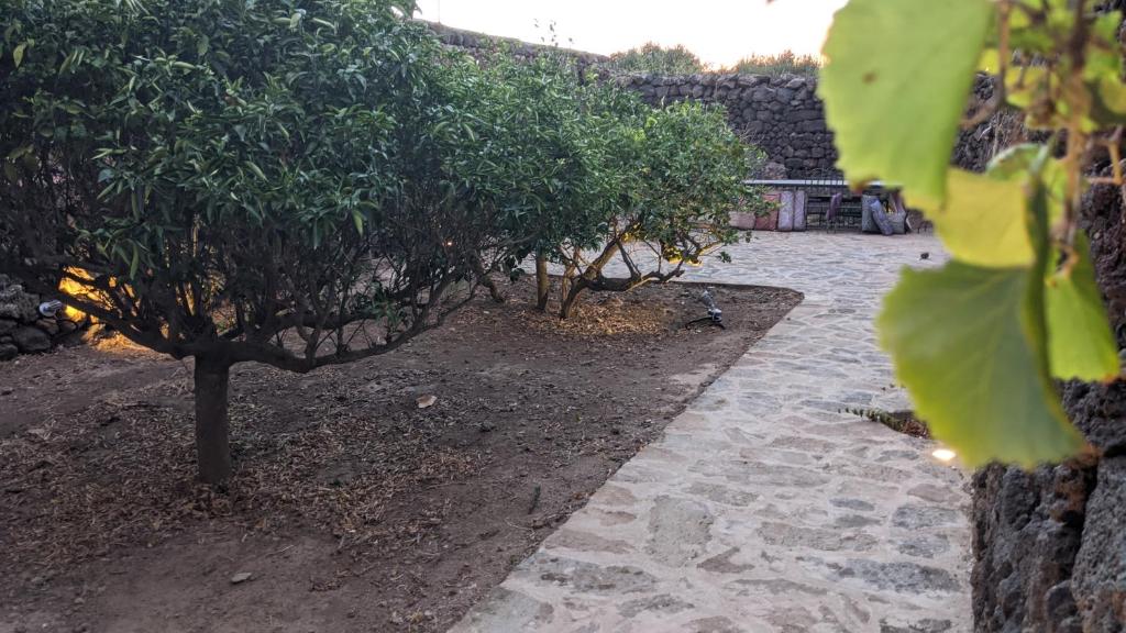 Ogród w obiekcie Horizon Pantelleria