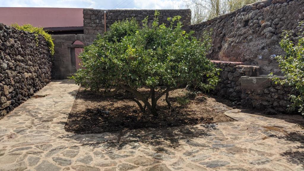 Ogród w obiekcie Horizon Pantelleria