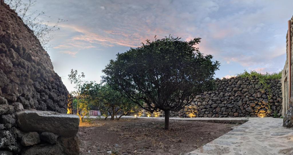 Ogród w obiekcie Horizon Pantelleria
