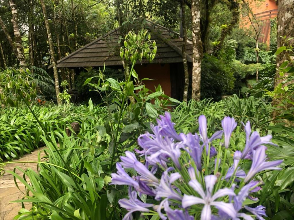 Apartamento Gramado  Apartamento Gramado