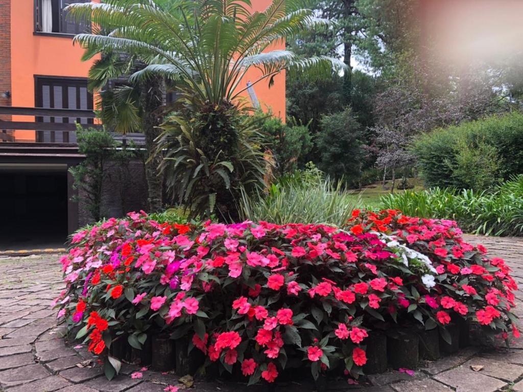 Apartamento Gramado  Apartamento Gramado