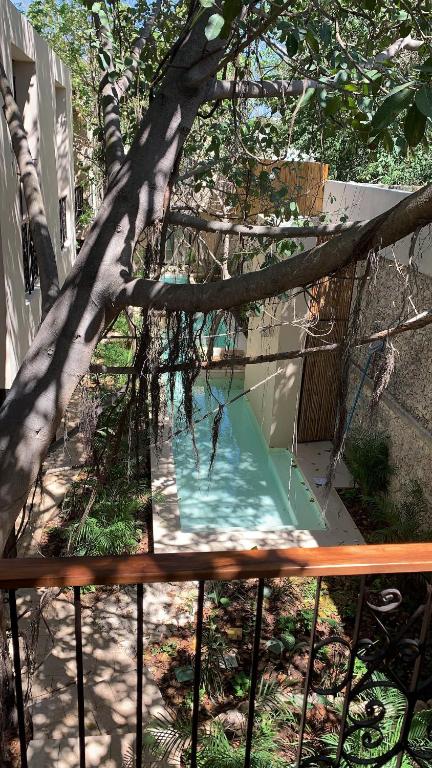 Bazén v ubytování TreeHouse Boutique Hotel, an adults only boutique hotel nebo v jeho okolí