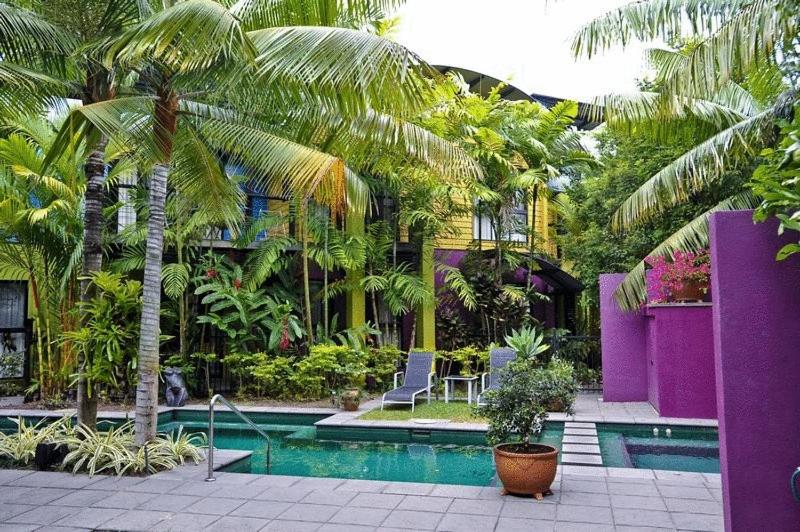 
a garden area with a pool of water and plants at Dreamcatcher Beach-Side Apartments in Port Douglas
