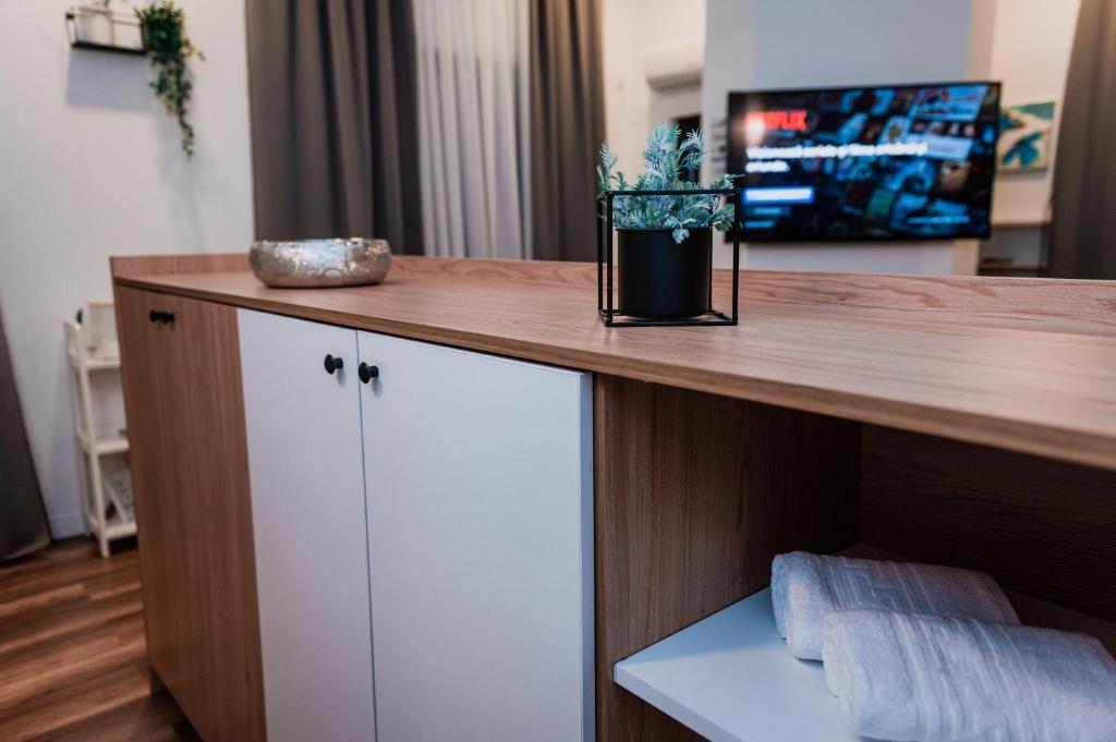 Puzzle Apartaments&Studios - Resim 45