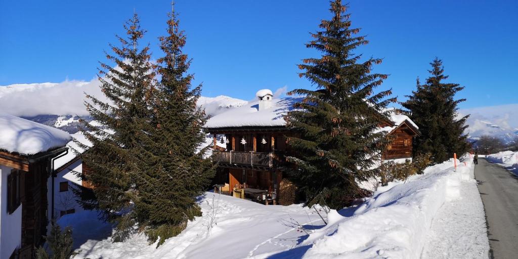 una casa nella neve con gli alberi di fronte di grosses Ferienhaus mit Sauna im Skigeb. Obersaxen a Obersaxen