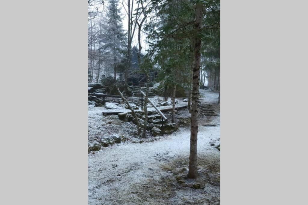 Ferienhaus Blommers v zimě