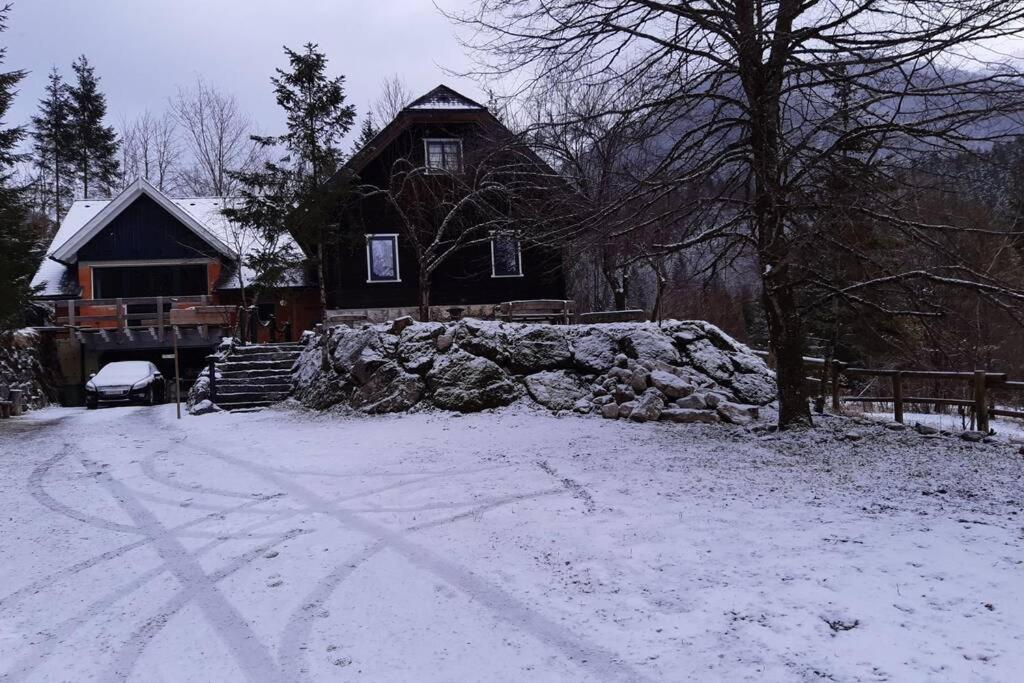 Ferienhaus Blommers v zimě